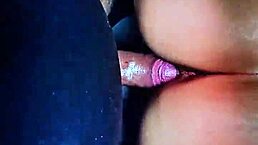 Cumshots Compilation In Stepsister's Pussy