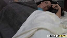 lola foxx says, wake up with bbc