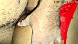 i fucked my sister-in-law doggystyle and she creampied all over