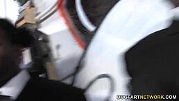 Busty Blonde Cindee Enjoys Interracial Gangbang with Monster Cocks!