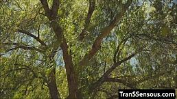 i met a crossdressing hitchhiker with a big cock