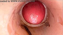 摄像头捕捉激烈舔逼和大射精在光滑阴户场景