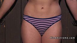 eternum 168 game session with friends