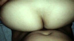 i'm the zorra of américa latina, dmrs-f