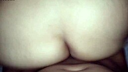 i'm the zorra of américa latina, dmrs-f