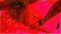 Intensely fucking a hot brunette with big ass I met on the beach in POV.