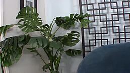 Girlfriends porn xxx