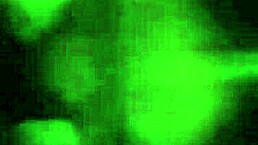 bbw gets her mouth filled by huge black cock while old cuckold watches