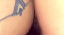 collection of special guest encounters in full video