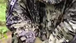 this milf gave her big ass in the woods for hot sex