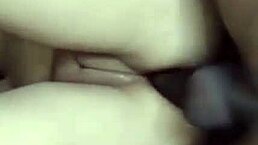 Esposa begs corno husband to film her getting cummed on