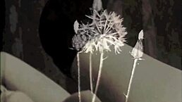 Exploring Vintage Porn From The Swinging Sixties