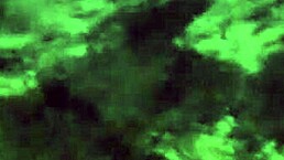 Venezuelan married woman, suck my cock in your husband's house?