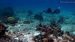 i saw a sexy girl in bikini on the boat