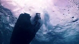 i saw a sexy girl in bikini on the boat