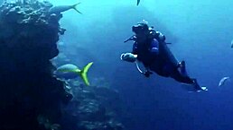 i saw a sexy girl in bikini on the boat