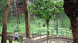 afrique centrale dans la baise inedite et torride africaine