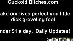 i will turn you into the perfect cuckold slave