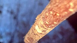 i fucked a cute witch with big cock in the forest