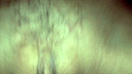 her pussy takes his big cock