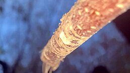 i fucked a cute witch with big cock in the forest