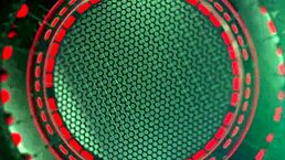 the neighbor spied on her in lingerie, then entered to fuck her hard