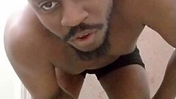 i return to make a mess in another room like my scorpio wolf pet