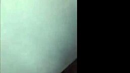 quất mạng nhện cực xinh của em