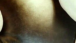 Latina Shemale Stevi Dolly Fucks