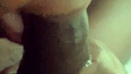 Jill Wettmout Gives Sloppy Blowjob Close-Up