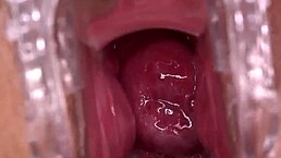 Smash or pass my pussy