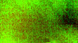 系列第二部狂吸Hozi大屌