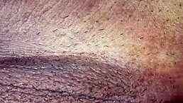 i'm eating ass and pussy