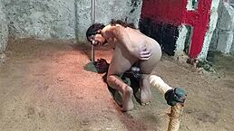 Why Does This Ts Stretch Her Gaping Ass with Huge Dildos and Cock?