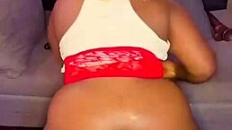 Nigarchrist update 1514 petal video