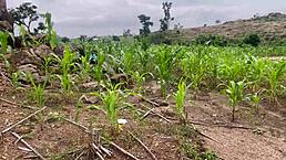 We headed to the ranch with my curvy girlfriend for more homemade fun in part two