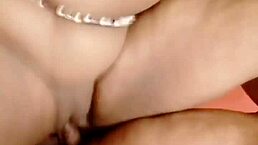 sundaydogood614 update 530 vid from oct 12 2024