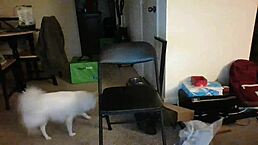 Hey slutty ex bitch teen 18+, you riding that big black cock monster like a fat nasty whore in university?