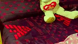 nigarchrist, what's the update on petal from may 30 2025?