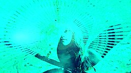 Dark Lantern Entertainment presents vintage monster blowjob and fucking in The Dragonfly scene 2 part 2