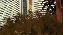 beautiful italian babe gets anal fucked in vegas by manuel ferrara