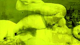 vintage erotic drawings feature hairy pussy and beaver in retro antique style.