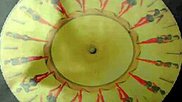 vintage erotic drawings feature hairy pussy and beaver in retro antique style.