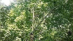 I Was Masturbating In The River Without Knowing A Voyeur Watched