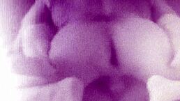 Ebony amateur with small tits moans during shower sex with monster black cock.