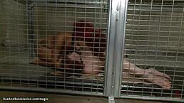 master fuck three butt plugged slaves in rough anal gagging group with bondage whipping and maledom submission pain