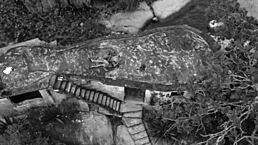 Novinha Enjoys Intense Fucking Session With Lucky Brazilian Guy And Monster Cock