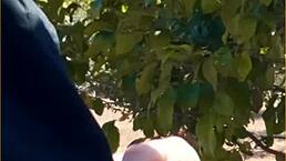 Hot Wife, Why Give An Amazing Public Blowjob Outdoors!