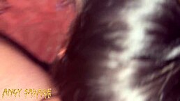 Take my tight asian ass hard in doggystyle, says the girlfriend during rough anal and blowjob pov action.