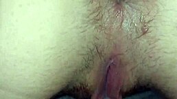 Pornxn horny skinny leyla flashes shaved pussy in public lingerie tease